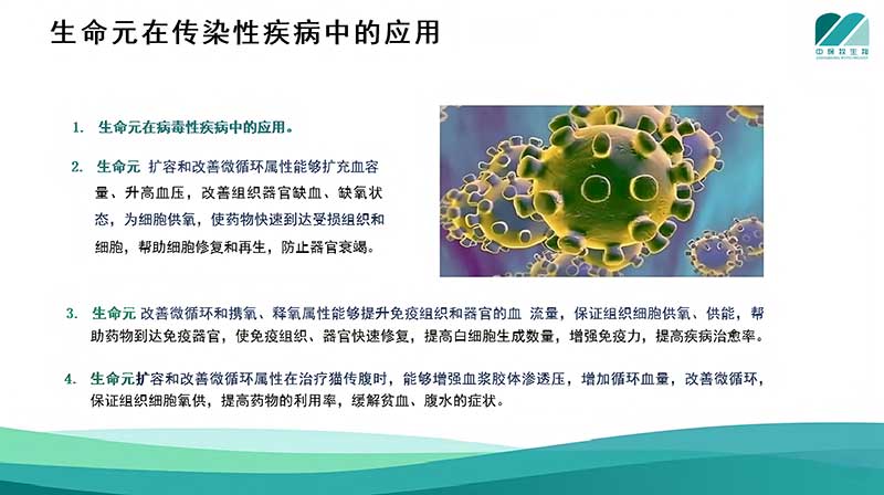 生命元在传染性疾病中的应用.jpg