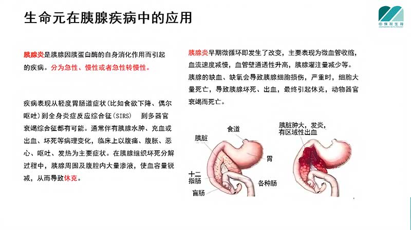 生命元在胰腺疾病中的应用