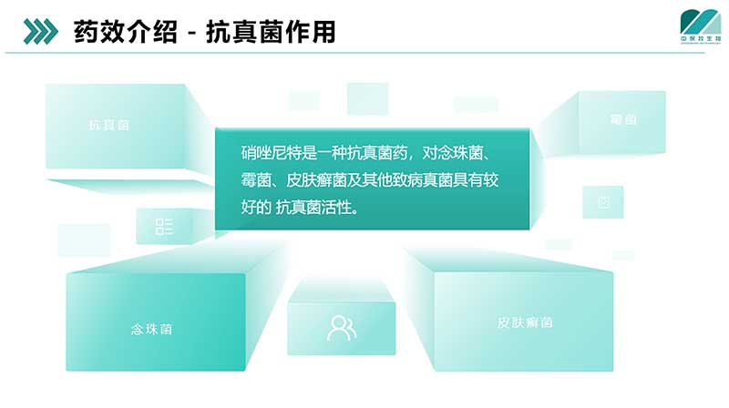 抗真菌应用与药效